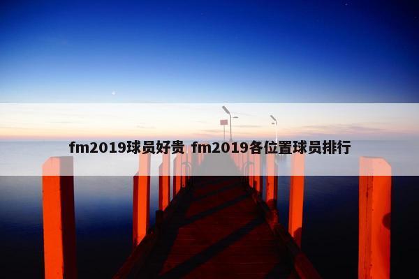 fm2019球员好贵 fm2019各位置球员排行