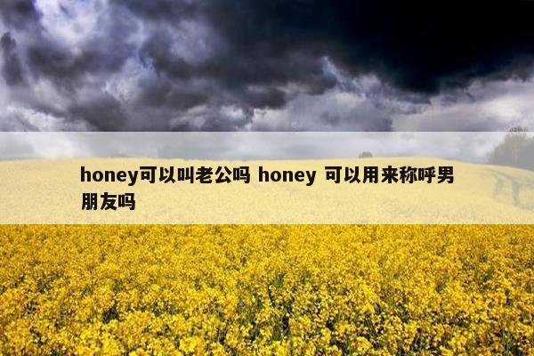 honey可以叫老公吗 honey 可以用来称呼男朋友吗