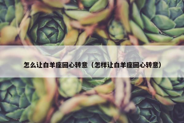 怎么让白羊座回心转意（怎样让白羊座回心转意）