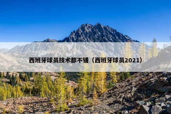 西班牙球员技术都不错（西班牙球员2021）