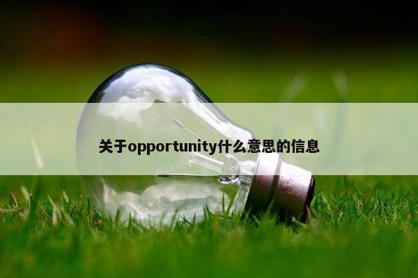 关于opportunity什么意思的信息