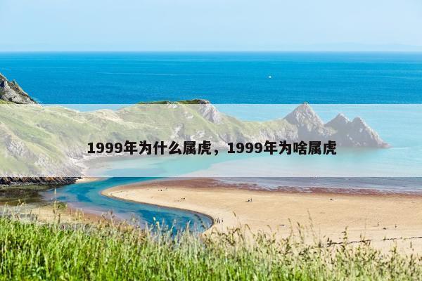 1999年为什么属虎，1999年为啥属虎