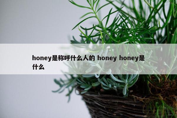 honey是称呼什么人的 honey honey是什么