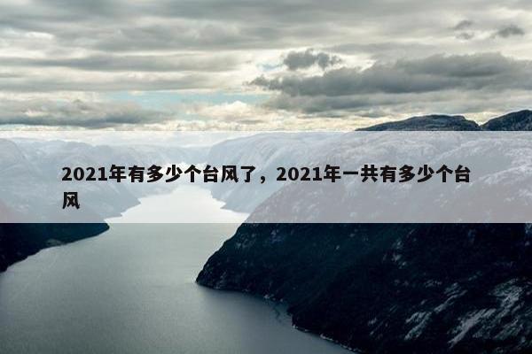 2021年有多少个台风了，2021年一共有多少个台风