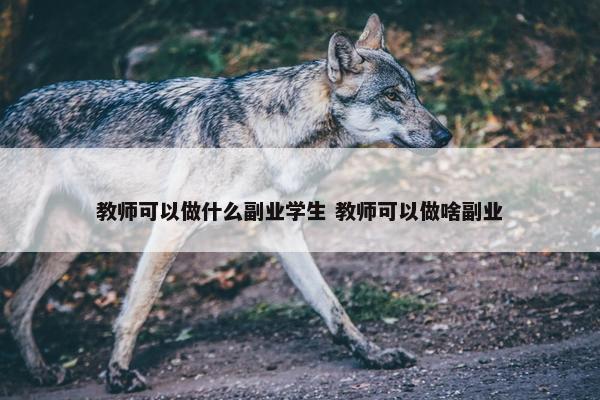 教师可以做什么副业学生 教师可以做啥副业