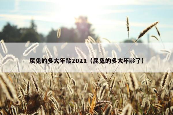 属兔的多大年龄2021（属兔的多大年龄了）