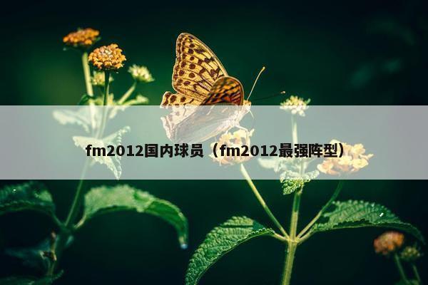 fm2012国内球员（fm2012最强阵型）