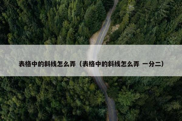 表格中的斜线怎么弄（表格中的斜线怎么弄 一分二）