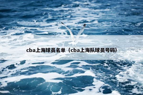 cba上海球员名单（cba上海队球员号码）