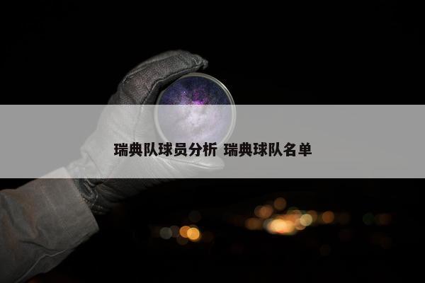 瑞典队球员分析 瑞典球队名单