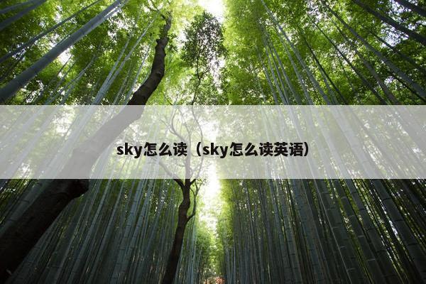 sky怎么读（sky怎么读英语）