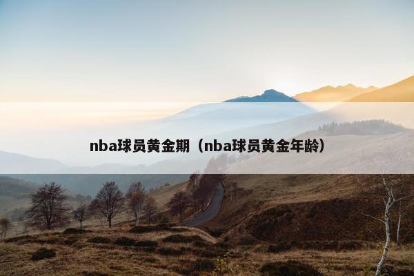 nba球员黄金期（nba球员黄金年龄）