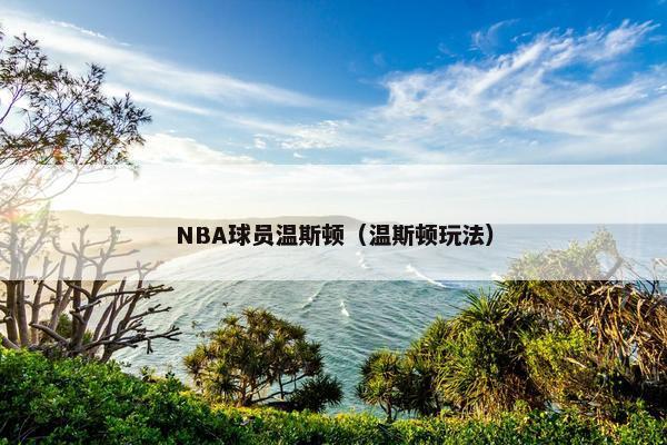 NBA球员温斯顿（温斯顿玩法）