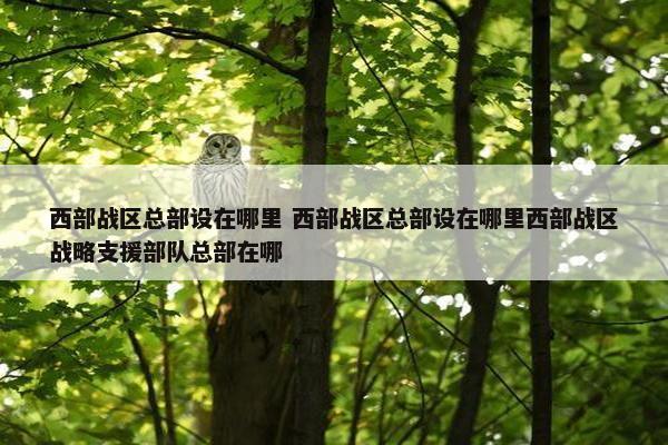 西部战区总部设在哪里 西部战区总部设在哪里西部战区战略支援部队总部在哪