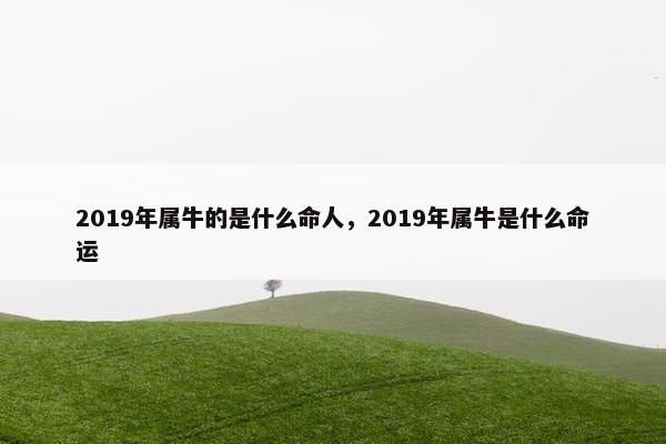 2019年属牛的是什么命人，2019年属牛是什么命运