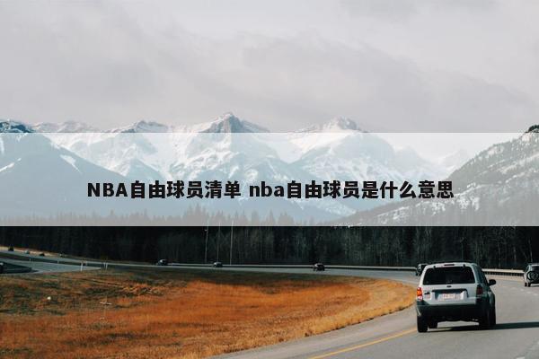 NBA自由球员清单 nba自由球员是什么意思