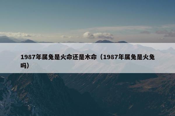 1987年属兔是火命还是木命（1987年属兔是火兔吗）