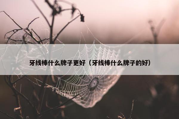 牙线棒什么牌子更好（牙线棒什么牌子的好）