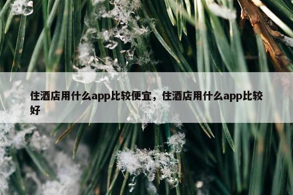 住酒店用什么app比较便宜，住酒店用什么app比较好