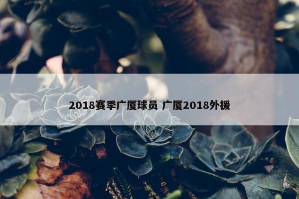 2018赛季广厦球员 广厦2018外援