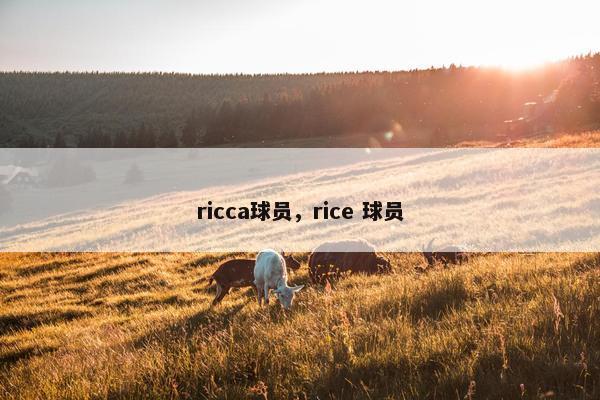 ricca球员，rice 球员