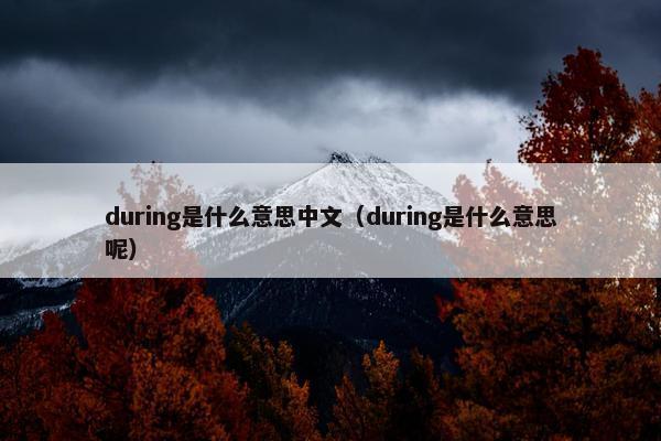 during是什么意思中文（during是什么意思呢）