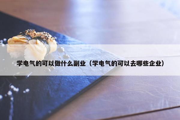 学电气的可以做什么副业（学电气的可以去哪些企业）