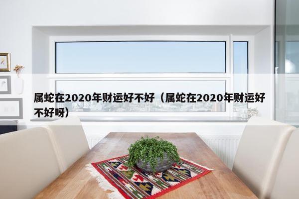 属蛇在2020年财运好不好（属蛇在2020年财运好不好呀）