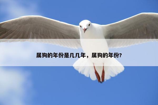 属狗的年份是几几年，属狗的年份?