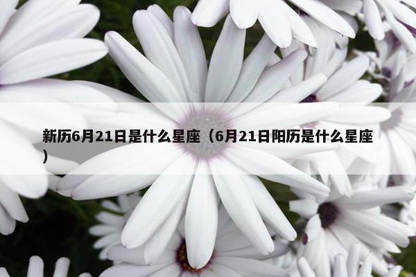 新历6月21日是什么星座（6月21日阳历是什么星座）