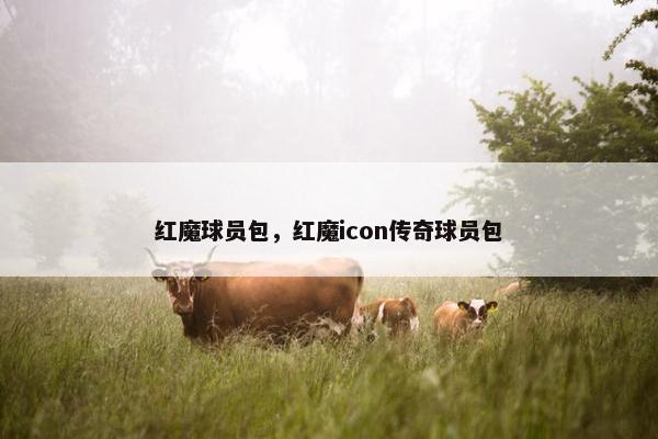 红魔球员包，红魔icon传奇球员包