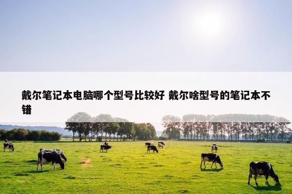 戴尔笔记本电脑哪个型号比较好 戴尔啥型号的笔记本不错