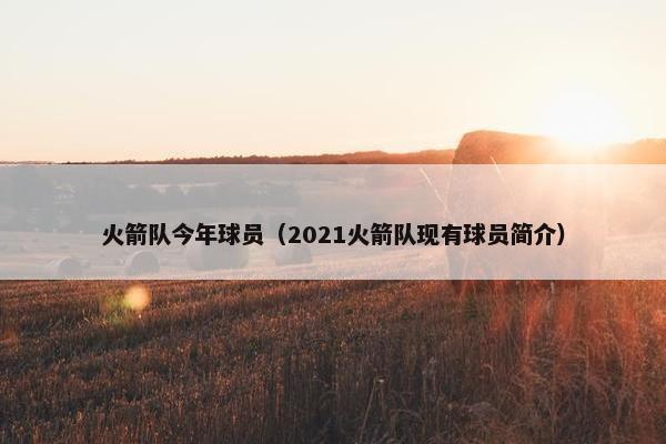 火箭队今年球员（2021火箭队现有球员简介）