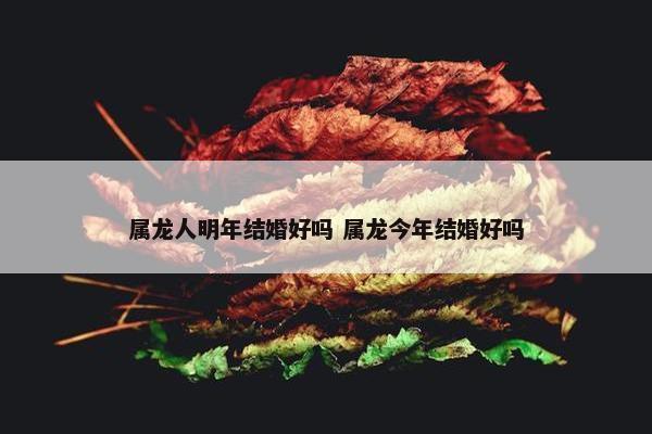 属龙人明年结婚好吗 属龙今年结婚好吗