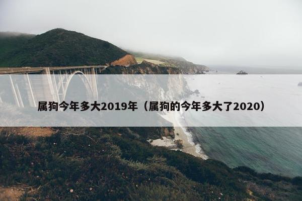 属狗今年多大2019年（属狗的今年多大了2020）