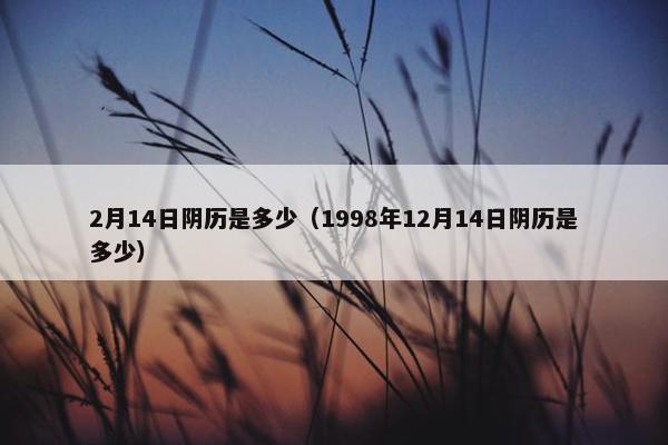 2月14日阴历是多少（1998年12月14日阴历是多少）