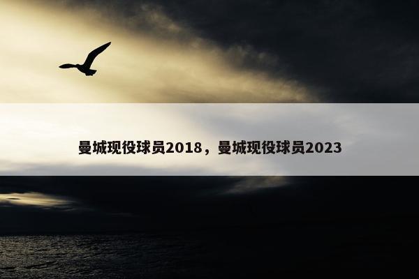 曼城现役球员2018，曼城现役球员2023