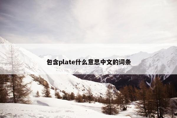 包含plate什么意思中文的词条