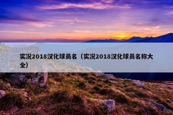 实况2018汉化球员名（实况2018汉化球员名称大全）