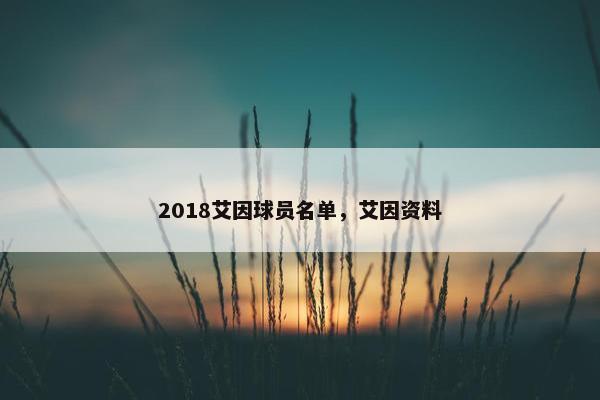 2018艾因球员名单，艾因资料