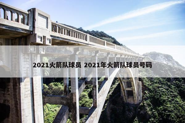 2021火箭队球员 2021年火箭队球员号码