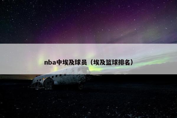 nba中埃及球员（埃及篮球排名）