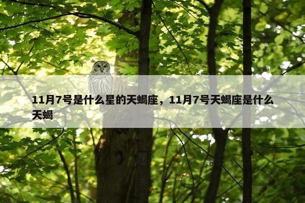 11月7号是什么星的天蝎座，11月7号天蝎座是什么天蝎