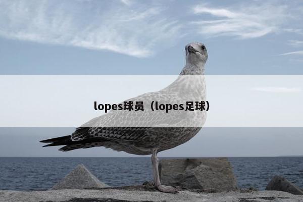 lopes球员（lopes足球）