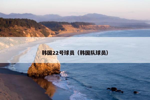 韩国22号球员（韩国队球员）