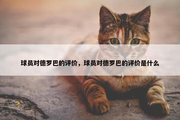 球员对德罗巴的评价，球员对德罗巴的评价是什么