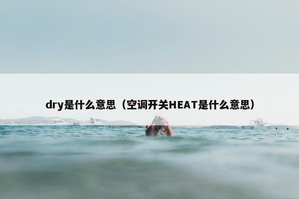 dry是什么意思（空调开关HEAT是什么意思）