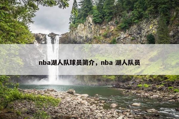 nba湖人队球员简介，nba 湖人队员