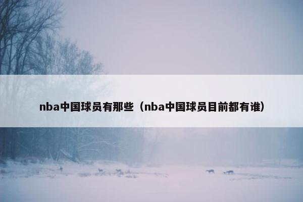 nba中国球员有那些（nba中国球员目前都有谁）