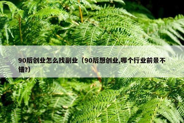 90后创业怎么找副业（90后想创业,哪个行业前景不错?）